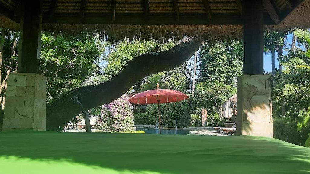 Rambutan Hotel Lovina Esterno foto