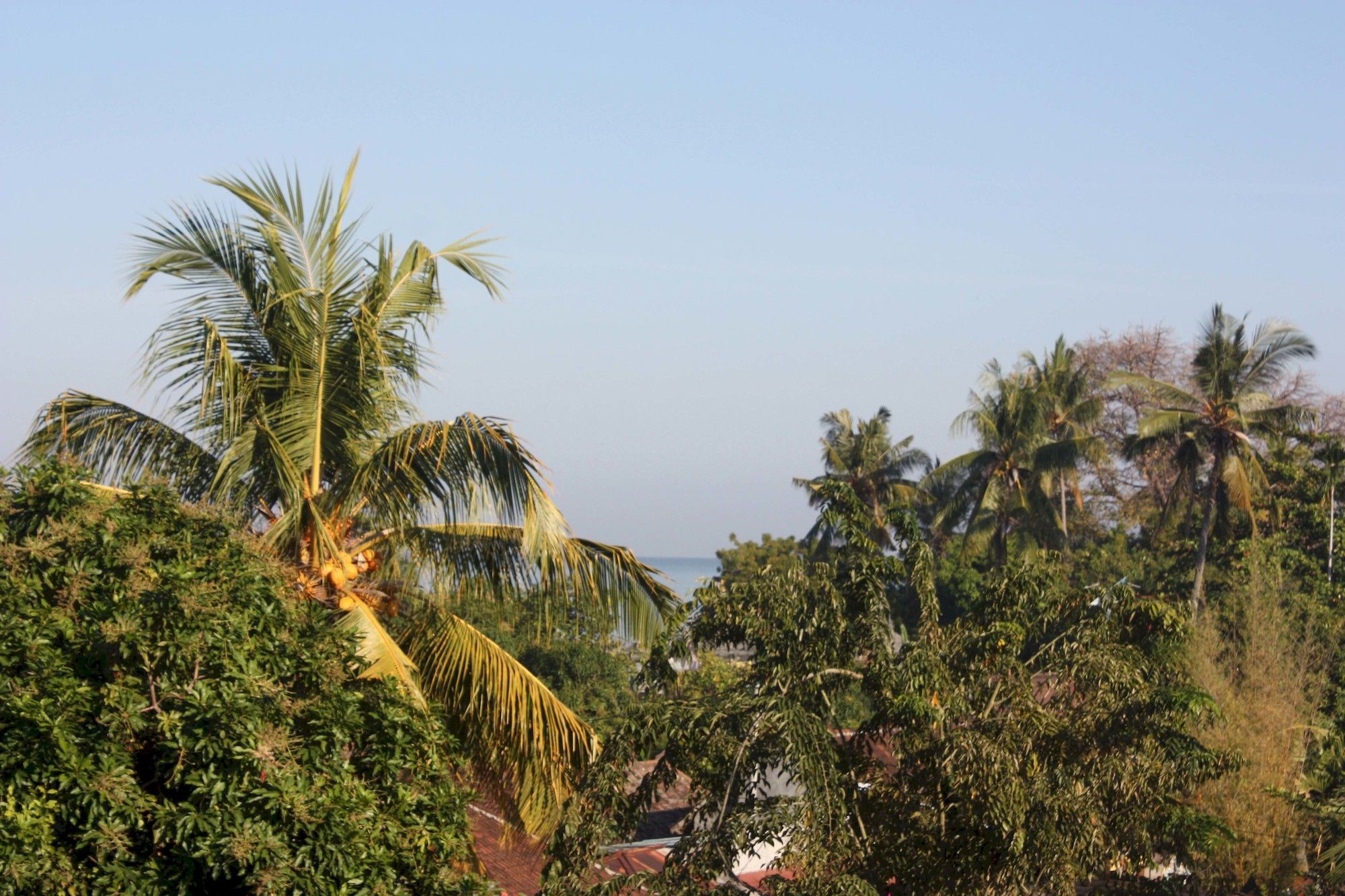Rambutan Hotel Lovina Esterno foto